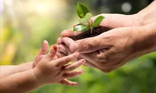 حمایت مالی دیوار از ایده‌ های محیط زیستی