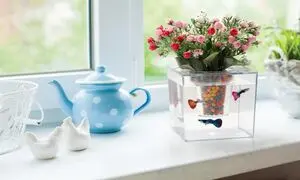 چگونه گلدان آکواریومی بسازیم؟