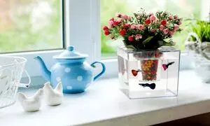 چگونه گلدان آکواریومی بسازیم؟