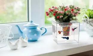 چگونه گلدان آکواریومی بسازیم؟