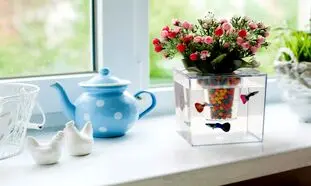 چگونه گلدان آکواریومی بسازیم؟