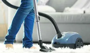جاروبرقی فیلیپس بخریم یا بوش؟