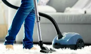 جاروبرقی فیلیپس بخریم یا بوش؟