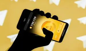 وضع بازار نات کوین خوب نیست
