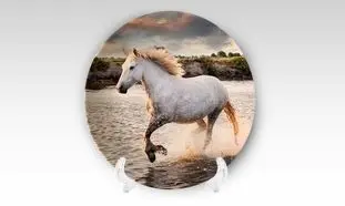 محبوبیت دوباره چاپ بشقاب