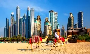 بهترین قیمت تور دبی را از کجا پیدا کنیم؟