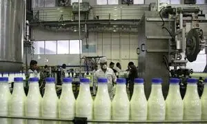 جریمه میلیاردی شرکت های گران فروش لبنیات
