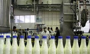 جریمه میلیاردی شرکت های گران فروش لبنیات