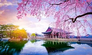 زمان را از دست ندهید؛ آخرین فرصت‌ها برای رزرو تور ژاپن و کره نوروز!