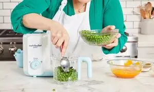 از بین 3 برند غذاساز کنوود، مولینکس و فیلیپس کدامیک برای خرید بهتر است؟