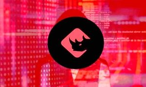 رشد غیرقابل باور قیمت باینری ایکس در بدترین روزهای بازار