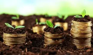 چرا دونگی بهترین گزینه برای سرمایه‌گذاری بلندمدت است؟