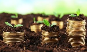چرا دونگی بهترین گزینه برای سرمایه‌گذاری بلندمدت است؟