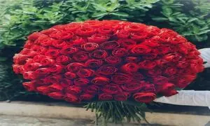 تجربه‌ای کم هزینه و لذت بخش با خرید آنلاین گل