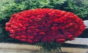 تجربه‌ای کم هزینه و لذت بخش با خرید آنلاین گل