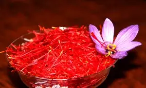 حضور نوین زعفران در سومین نمایشگاه اختصاصی اوراسیا