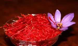 حضور نوین زعفران در سومین نمایشگاه اختصاصی اوراسیا