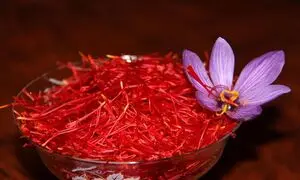 حضور نوین زعفران در سومین نمایشگاه اختصاصی اوراسیا