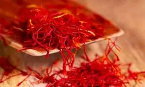 صادرات غیرقانونی زعفران ایران توسط هند و افغانستان!