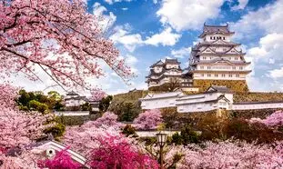 کاهش نرخ تور ژاپن و ویتنام در آستانه نوروز 1404؛ فرصتی طلایی برای سفر
