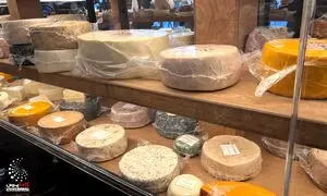 انبار پنیر فرمانیه ؛ سفر به سرزمین طعم و مزه ها (ویدیو)