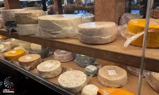 انبار پنیر فرمانیه ؛ سفر به سرزمین طعم و مزه ها (ویدیو)