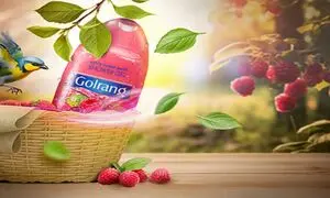 حضور گلرنگ در سومین نمایشگاه اختصاصی اوراسیا