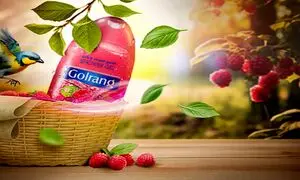 حضور گلرنگ در سومین نمایشگاه اختصاصی اوراسیا