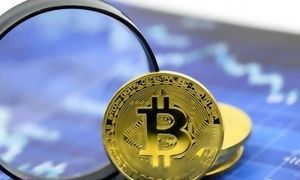 بیت کوین تا 800 درصد رشد خواهد داشت؟