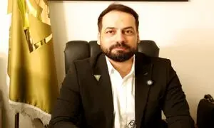 مدیرعامل الوویزا ؛ مهاجرت با افزایش قیمت ارز رابطه مستقیم دارد