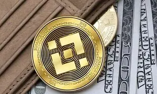 بایننس کوین یک میم کوین است؟