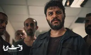 برگ برنده سیدی در «وحشی» چیست؟