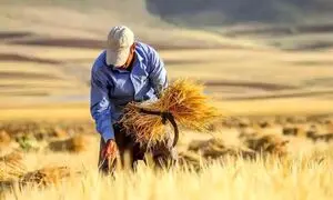 تمبر روز ملی نان رونمایی شد