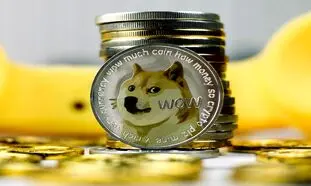 ابهت دوج کوین ریخت