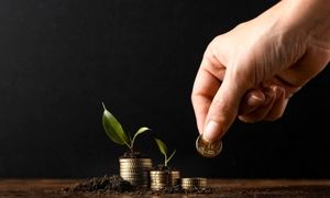 جزئیات طرح مگاسود فروردین کاریزما