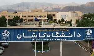 مارمولک در غذای دانشجویان + تصویر