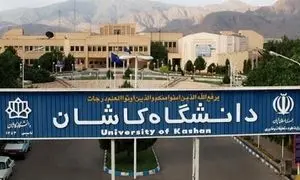 مارمولک در غذای دانشجویان + تصویر