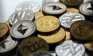 آلت سیزن در راه است؟