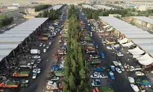 با کالابرگ در میادین میوه و تره بار خرید کنید