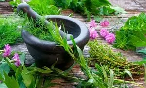 آغاز نمایشگاه گل و گیاه اصفهان