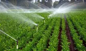 چشم‌ انداز صنعت کشاورزی و دامپروری ایران