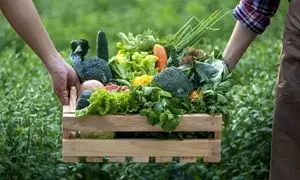 مهمترین فرصت‌ ها و تهدیدهای صنعت کشاورزی و دامپروری