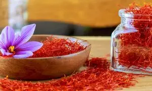 افتتاح خانه زعفران در هایپراستار