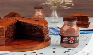 حضور رامک در همایش انجمن گوارش شیراز