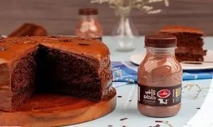 حضور رامک در همایش انجمن گوارش شیراز