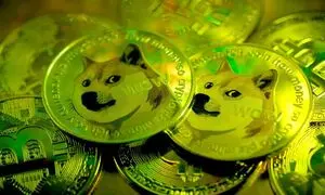 ارتش دوج کوین طوفان به پا کرد