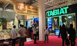 گزارش تصویری از نمایشگاه ایران اکسپو ۲۰۲۵