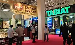 گزارش تصویری از نمایشگاه ایران اکسپو ۲۰۲۵