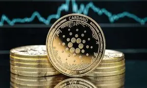 تب و تاب کاردانو بالا رفت