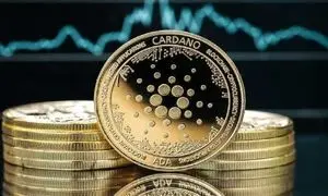 تب و تاب کاردانو بالا رفت